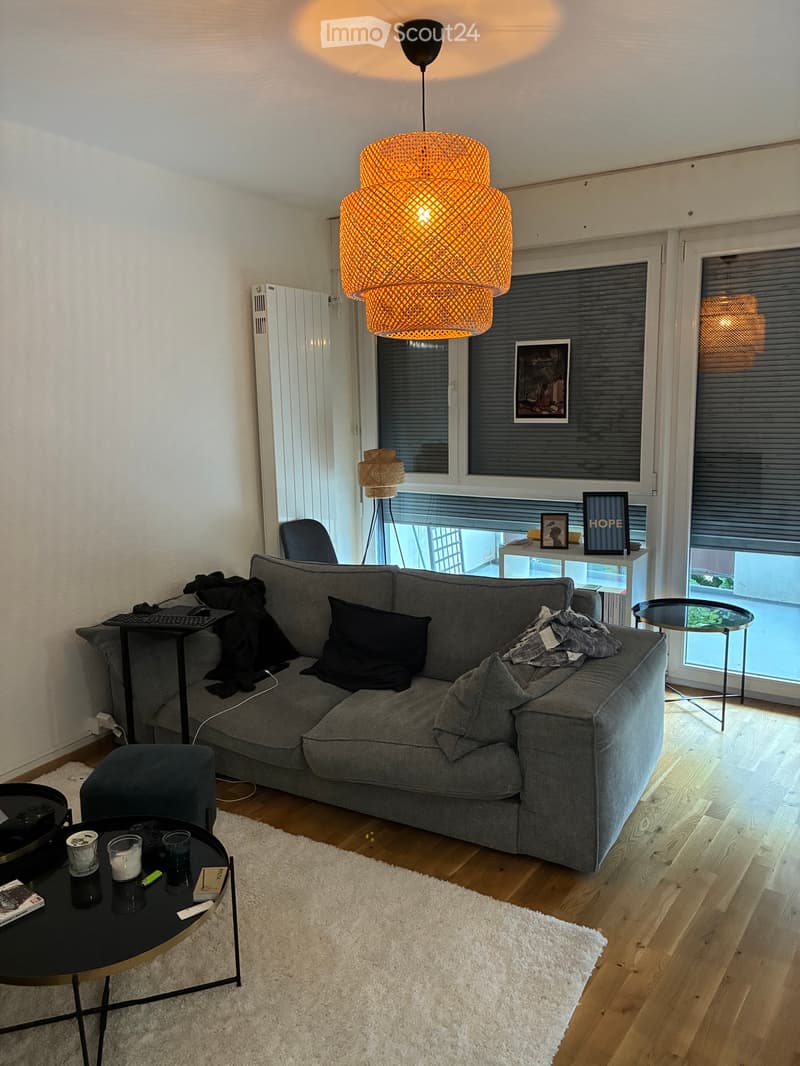 Wohnung 3.5 Zimmer möbliert in Grand-Lancy (2)