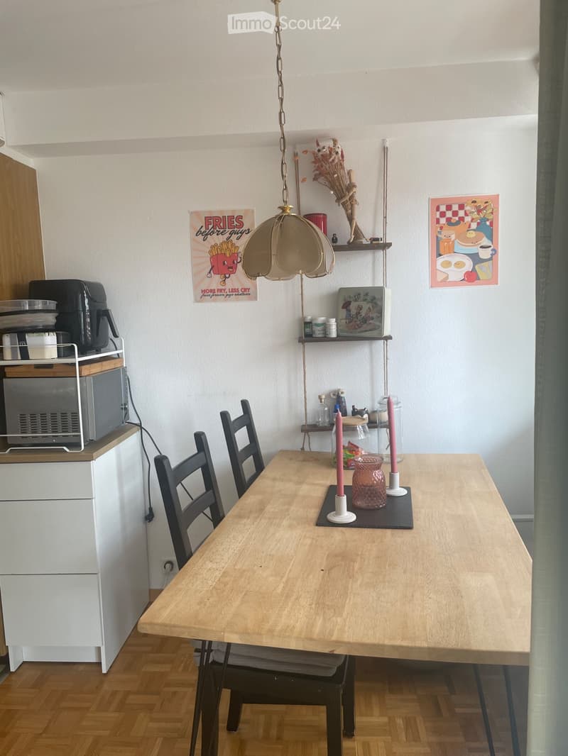 Wohnung 3 Zimmer Lausanne (4)