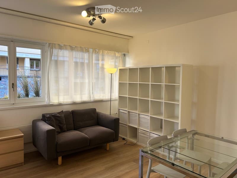 Einzimmerwohnung im 2. Stock im Zentrum (2)