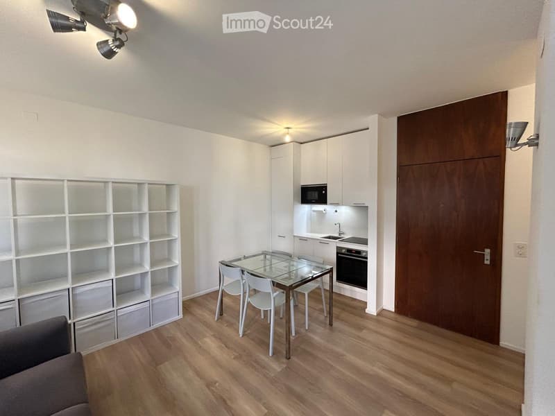 Einzimmerwohnung im 2. Stock im Zentrum (1)