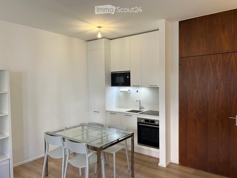 Einzimmerwohnung im 2. Stock im Zentrum (3)