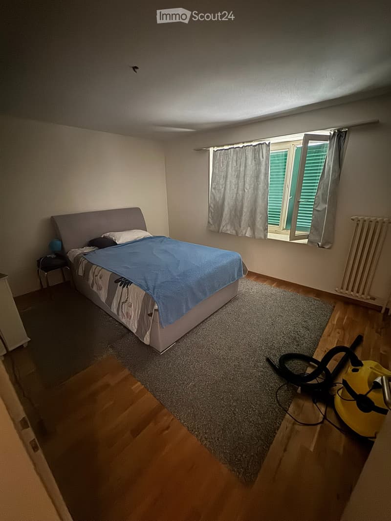 Recherche locataire 4 pièces à Neuhausen (5)