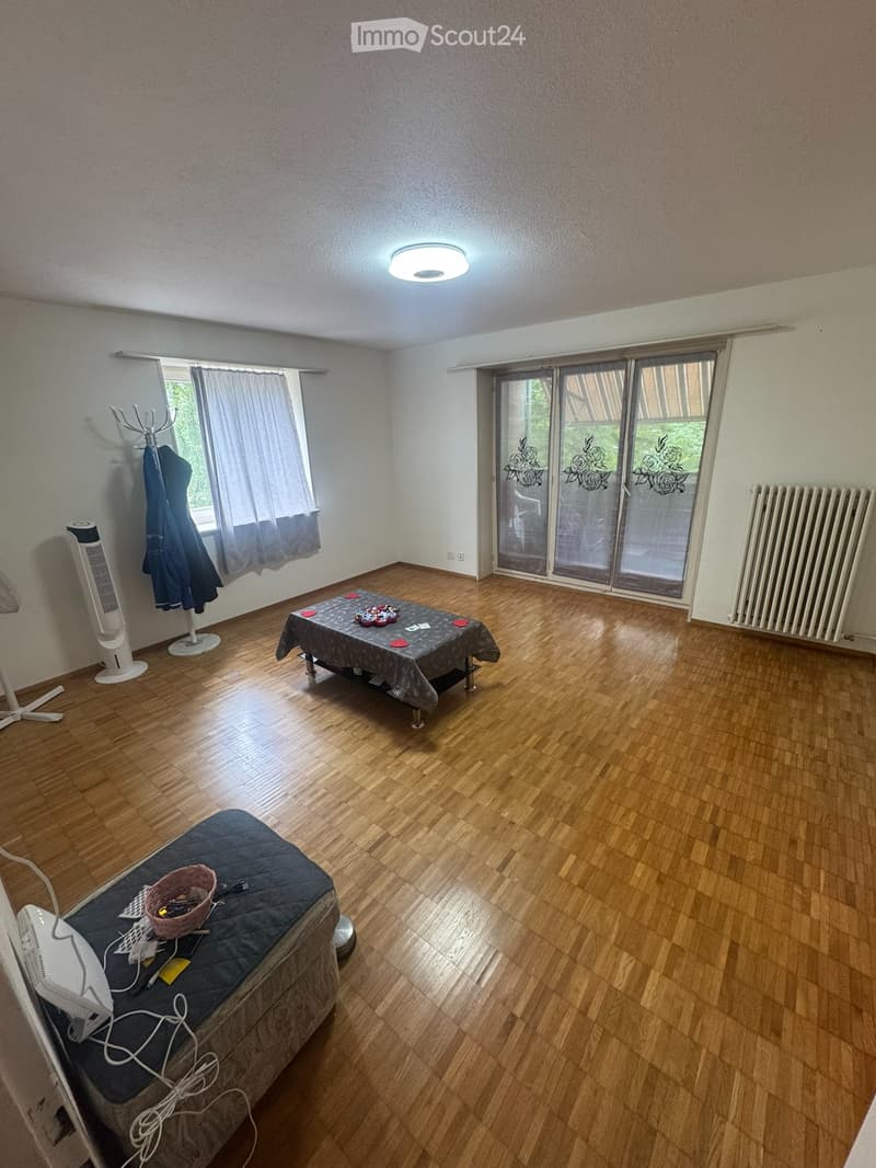 Recherche locataire 4 pièces à Neuhausen (4)