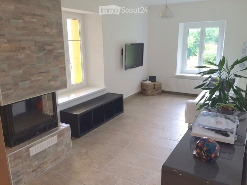Magnifico 3,5 locali, camino, terrazza, giardino e garage (3)