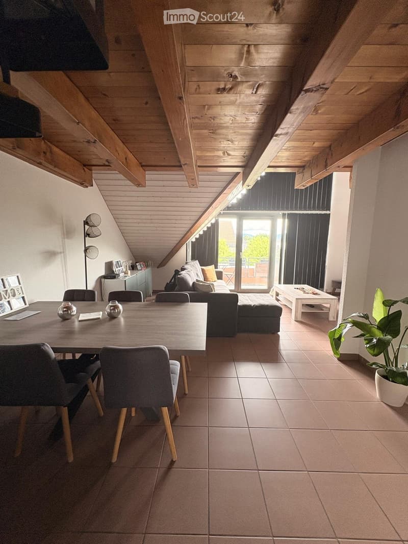 Bello duplex in attico in affitto a Gland (3)