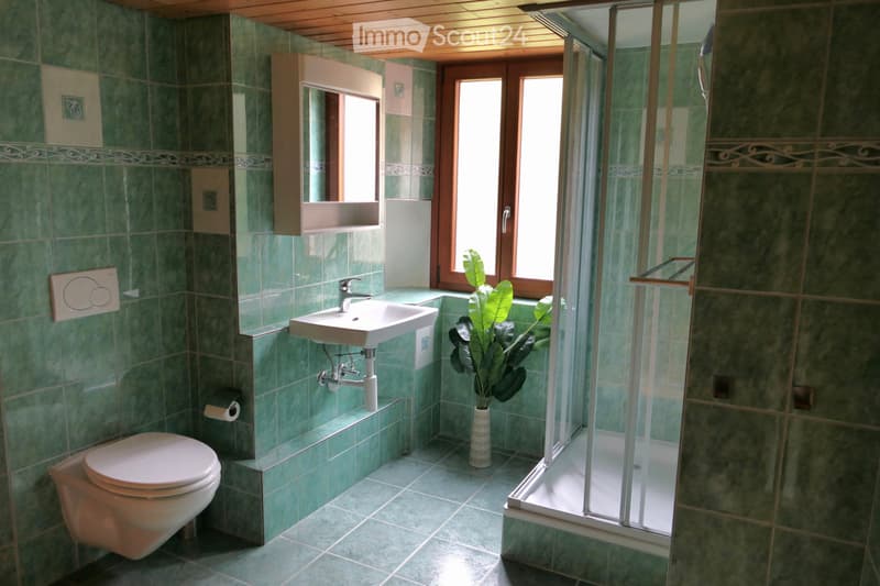 Couvet House with 4 apartments and rental income (8)