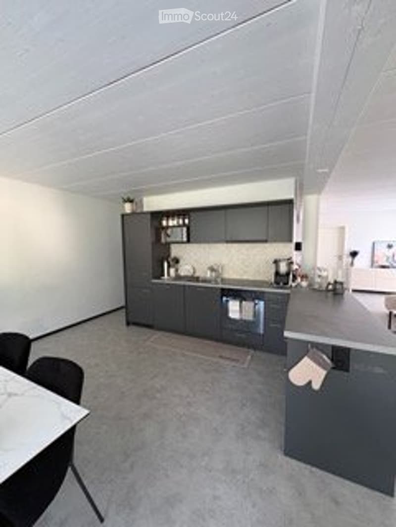 Appartamento 3.5 in affitto (5)