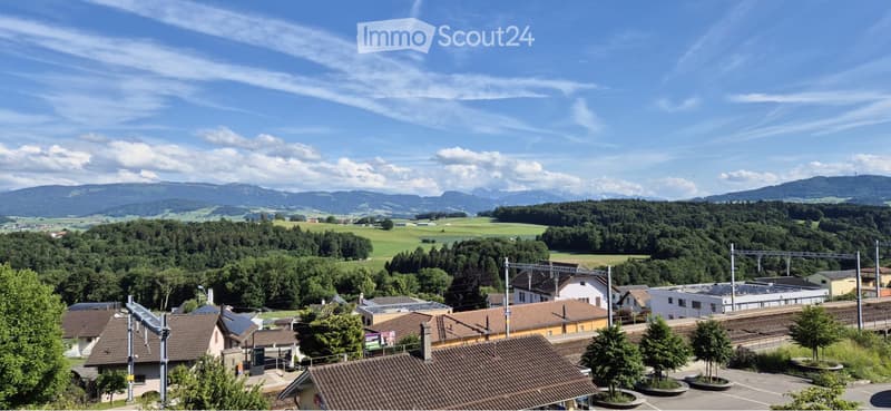 Magnifique appartement de 4,5 (1)