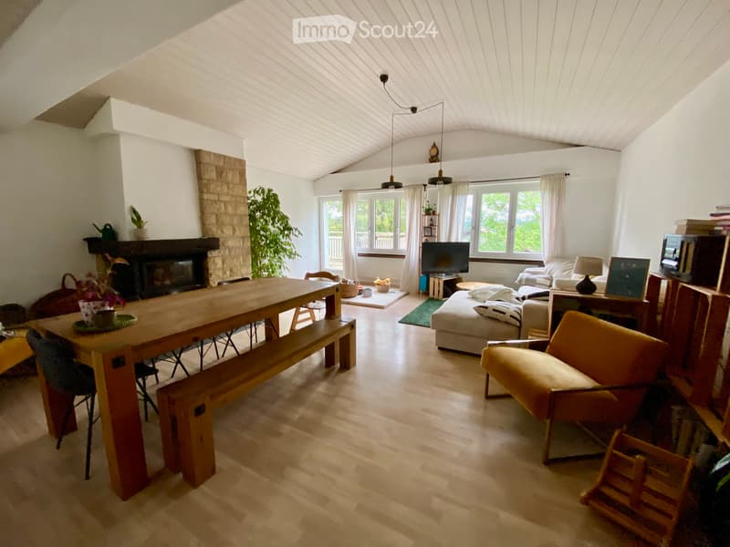 Appartement spacieux et lumineux à Montfaucon (1)