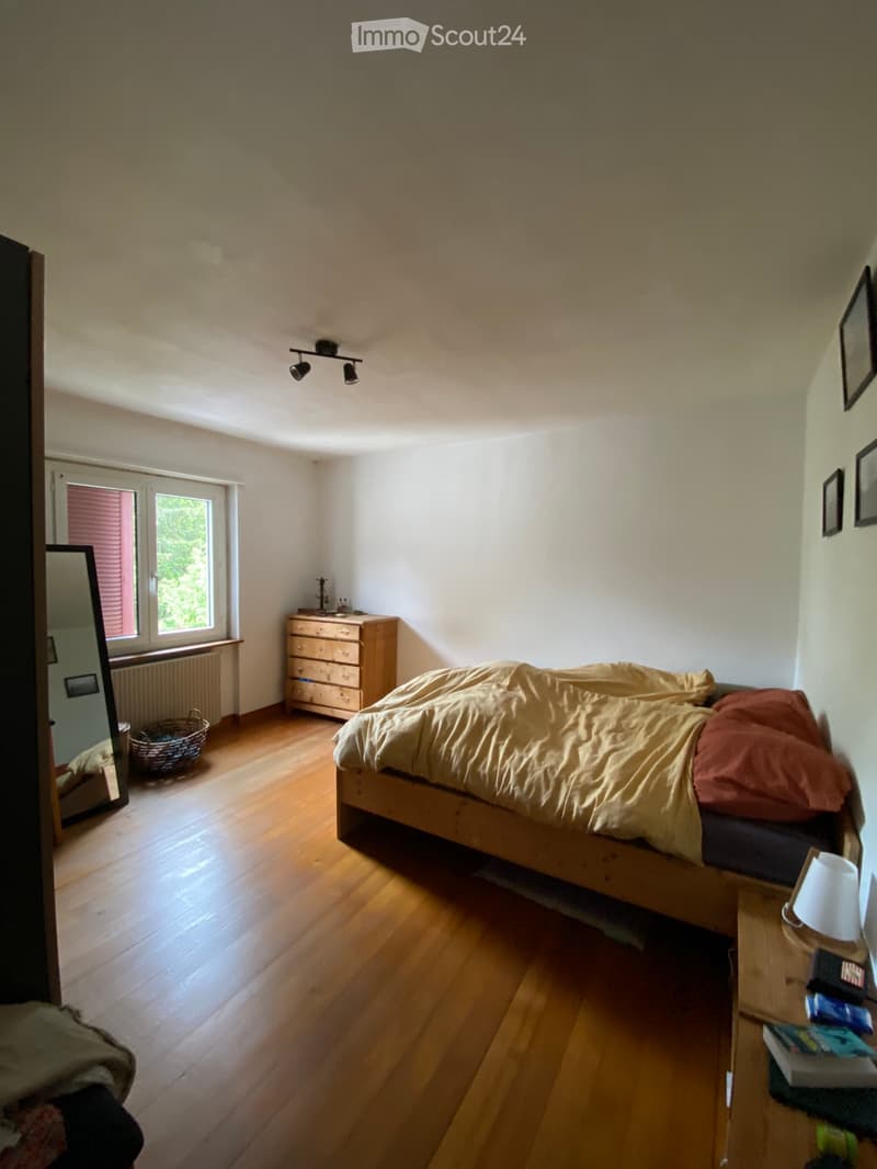 Appartement spacieux et lumineux à Montfaucon (4)