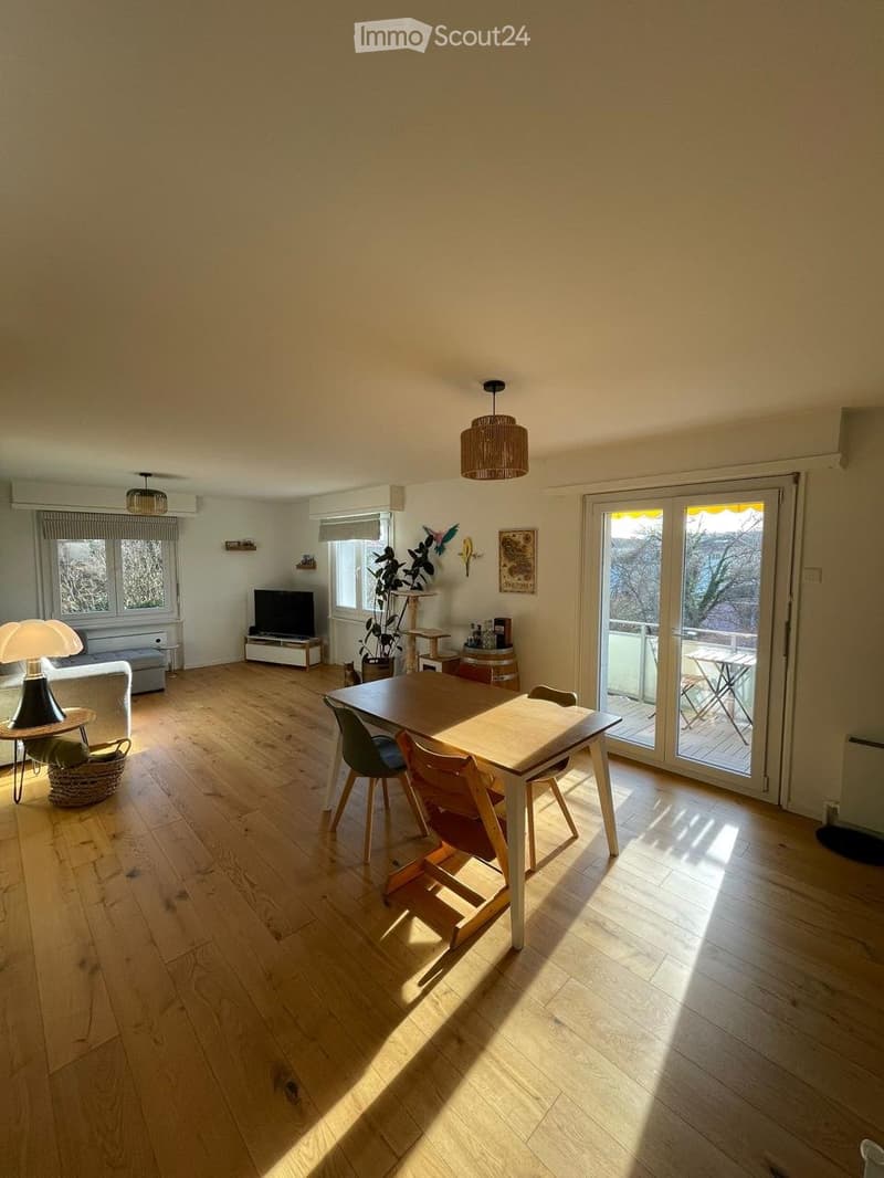 Très grand 3.5 pièces avec balcon, terrasse et jardin commun (1)