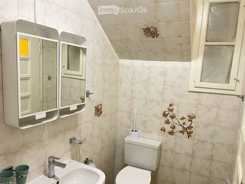 Duplex 4,5 locali con fascino nel centro di Friburgo (4)
