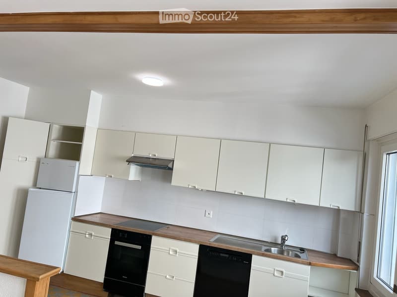 Duplex 4,5 locali con fascino nel centro di Friburgo (2)
