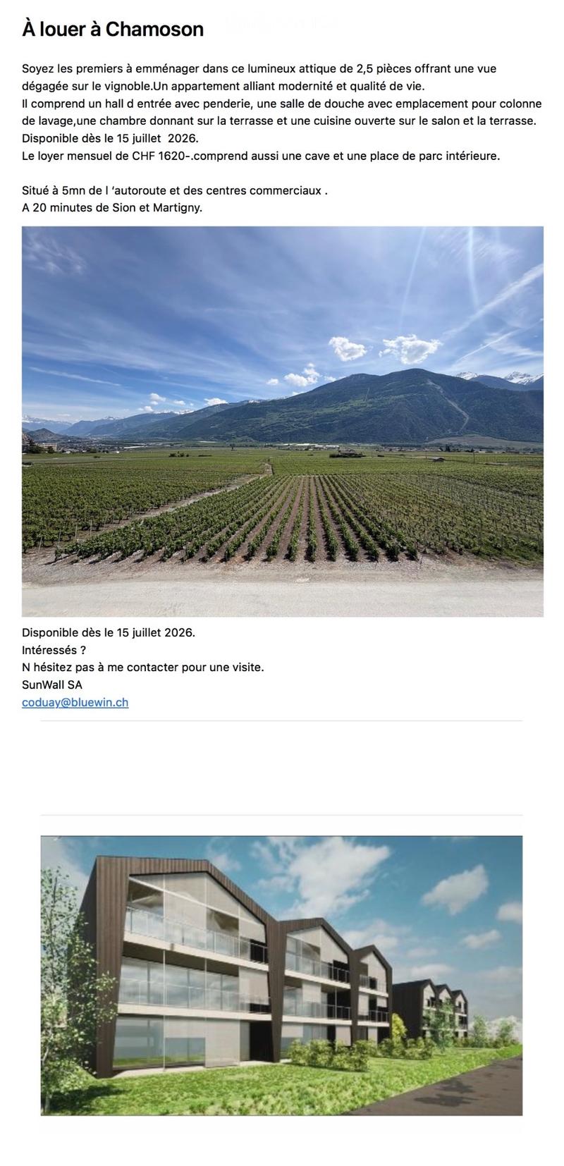 2,5 pièces en attique (2)