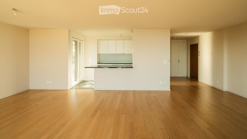 Appartement de 5.5 pièces,150 m² avec vue lac et montagnes (4)