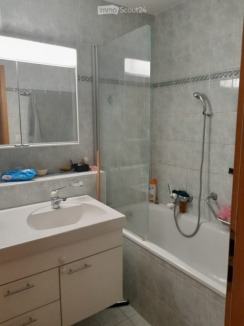 Geräumige Wohnung (4)
