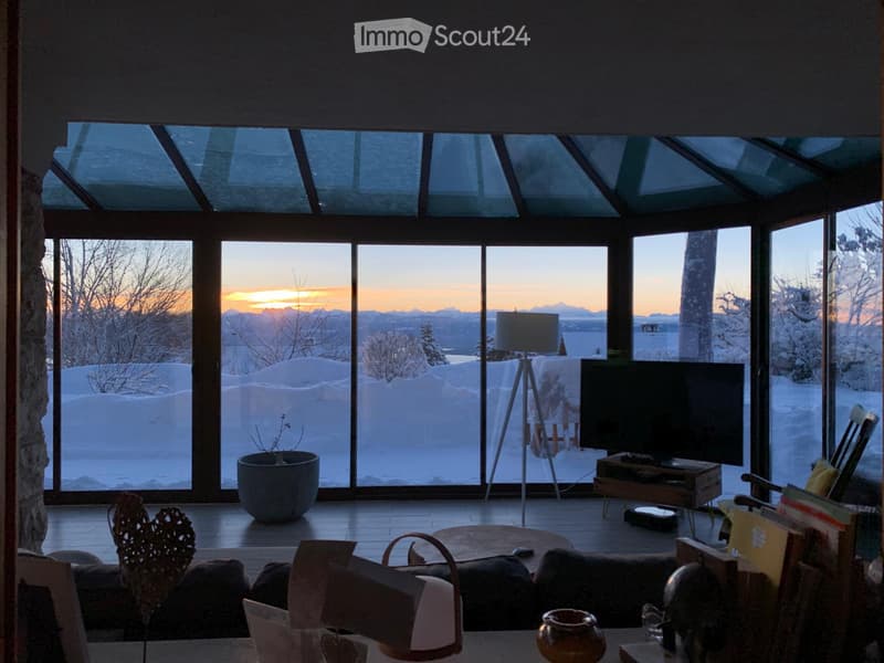 3,5 Zimmer - Erdgeschoss mit Seeblick & Alpen, Garten 350 m² - Arzier (1)