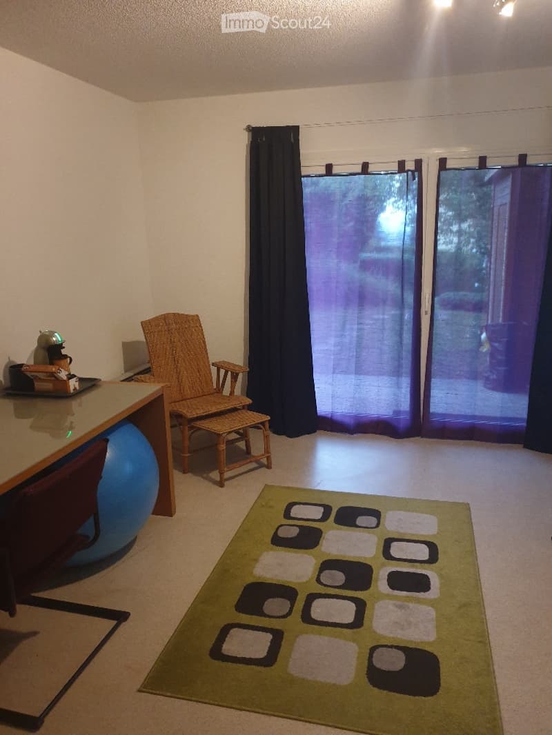 Piccolo appartamento 1 camera arredato, dal lunedì al venerdì come pied-à-terre (2)