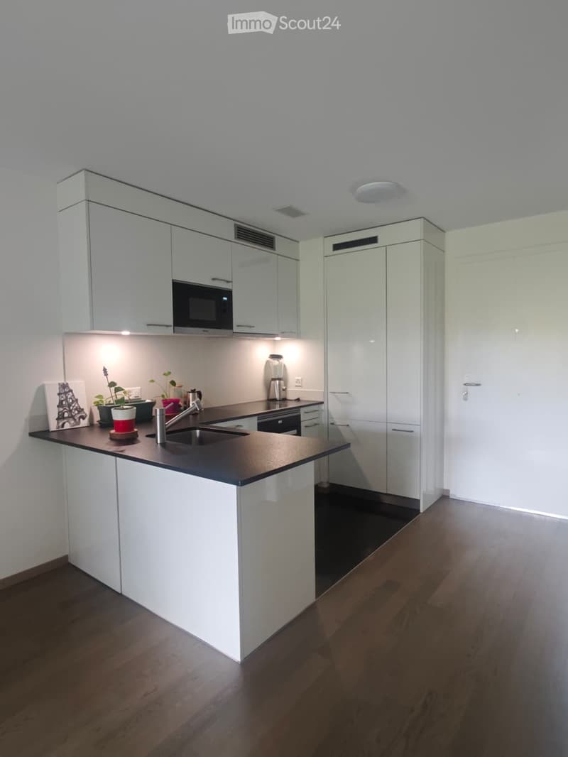 Appartamento moderno a St Sulpice (2)