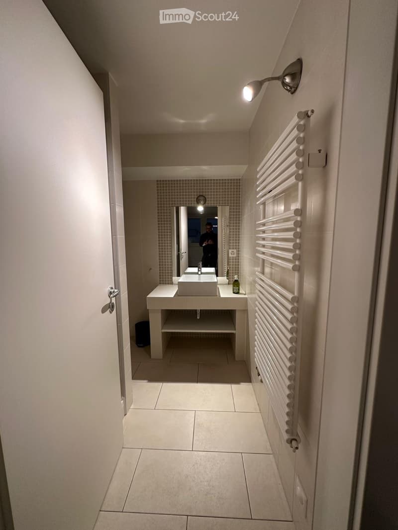 Appartamento di due locali in affitto in una casa (5)