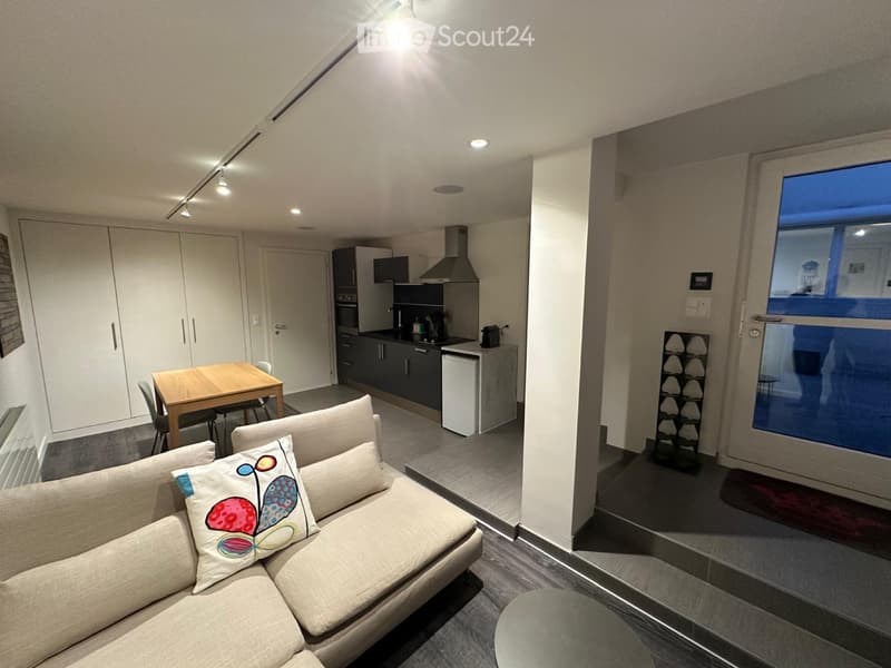 Appartamento di due locali in affitto in una casa (3)