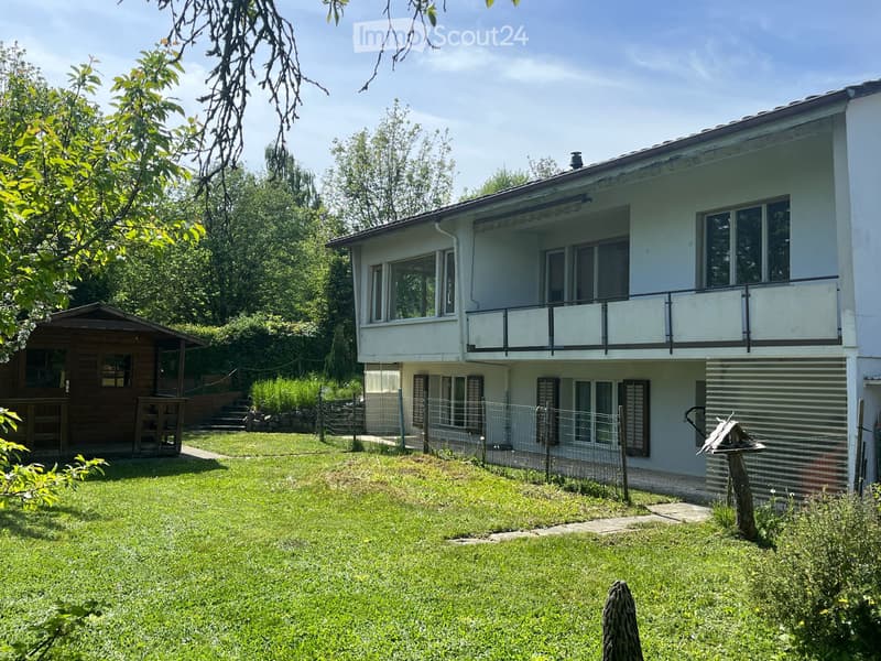 Bright house with 2 apartments (1)