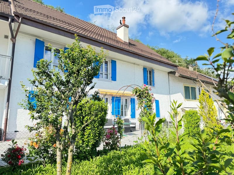 Unique - To seize ! - Fully renovated village house (1)