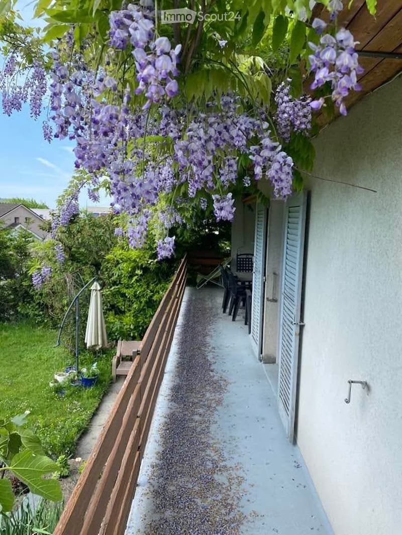 Villa for Sale in La Neuveville (5)