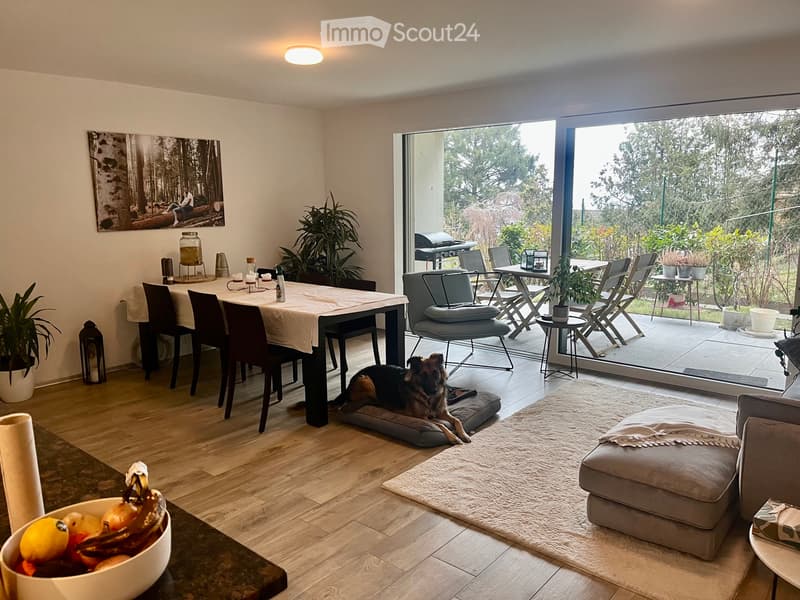Takeover of 3.5-room apartment lease (5)