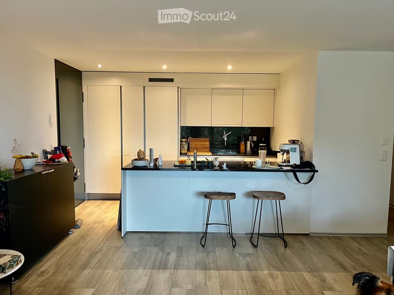 Takeover of 3.5-room apartment lease (3)