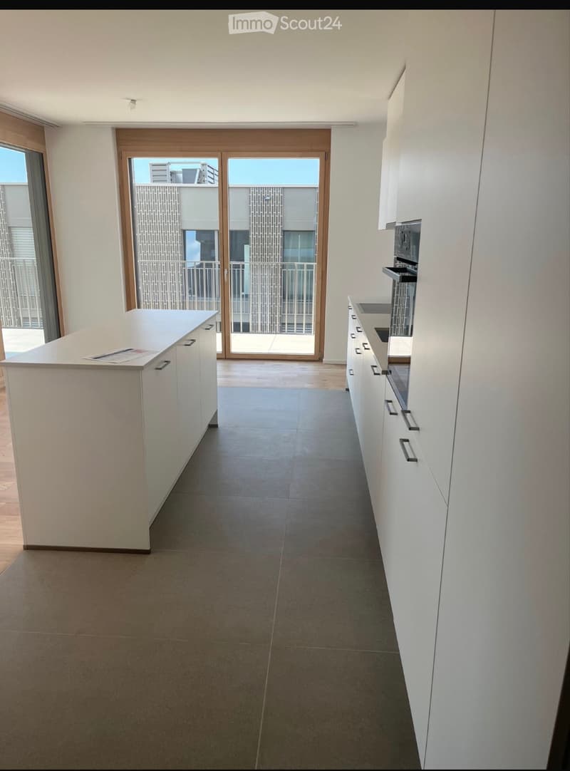Bellissimo appartamento di 3,5 locali in affitto dal 15 luglio (3)