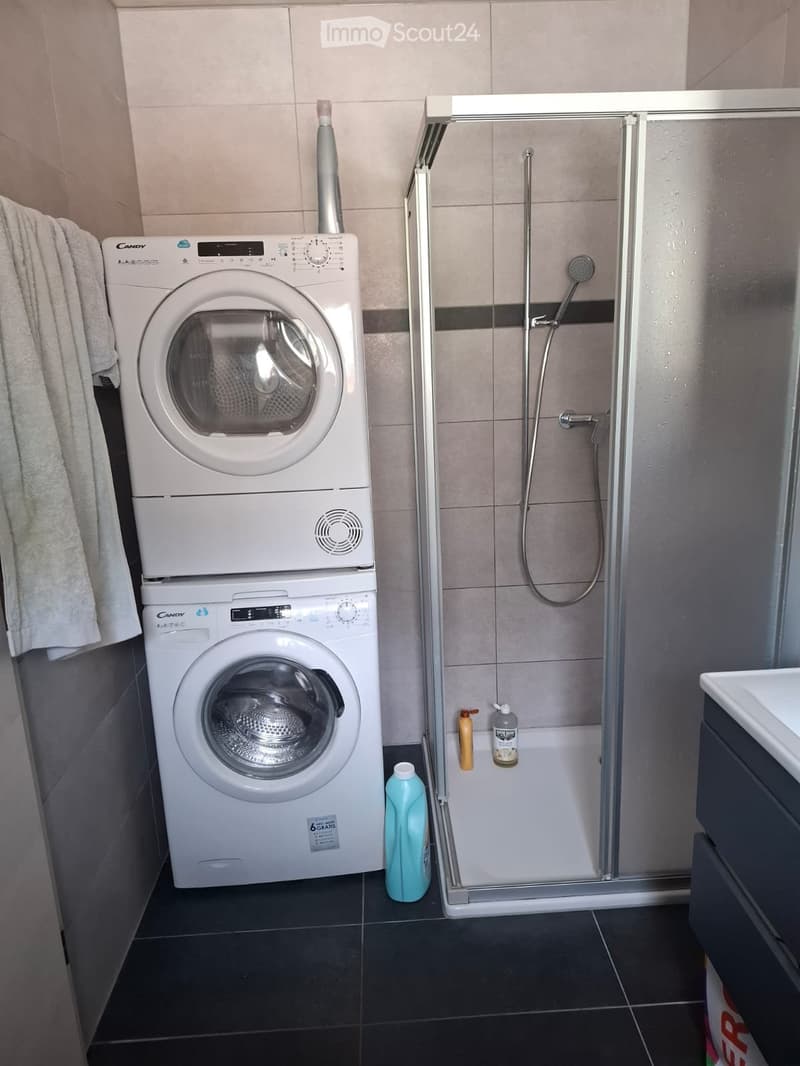 Da rilasciare: Appartamento-loft arredato e attrezzato a Saxon (VS) (3)