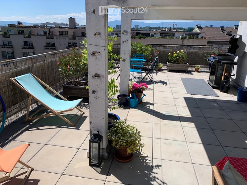 Duplex con splendida terrazza (1)
