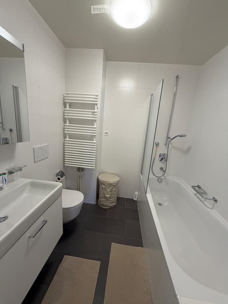 Appartement dans la Vieille Ville de Genève Bourg-de-Four (5)