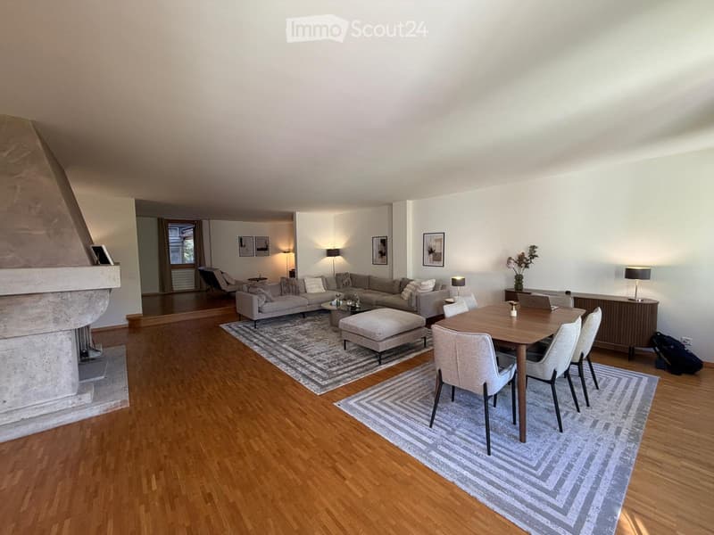 Appartement dans la Vieille Ville de Genève Bourg-de-Four (1)