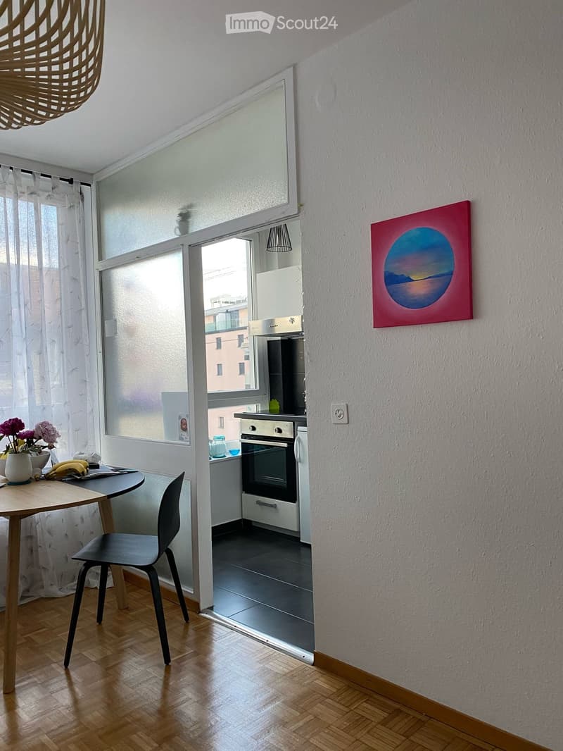 Studio luminoso (1,5 locali) rinnovato (1)