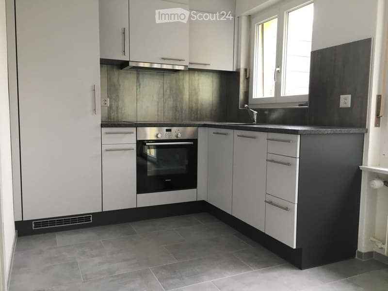 In affitto, appartamento 2 locali (3)
