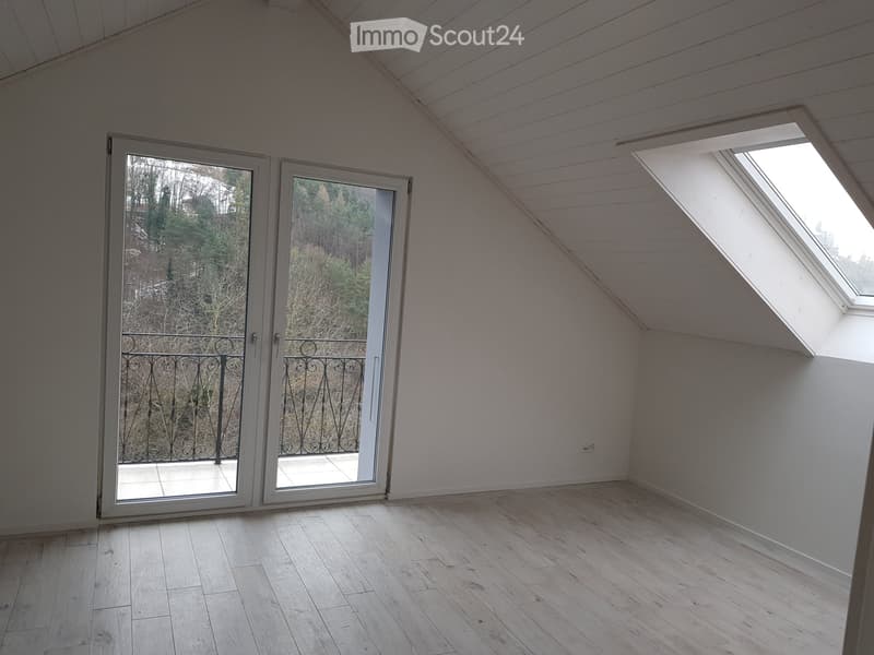 5,5 locali in città a Friburgo, vista eccezionale (5)