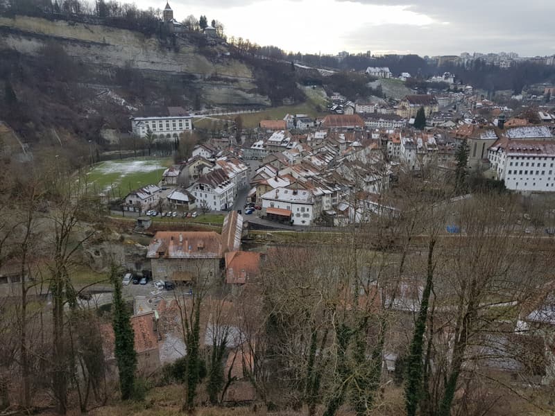 5,5 locali in città a Friburgo, vista eccezionale (1)