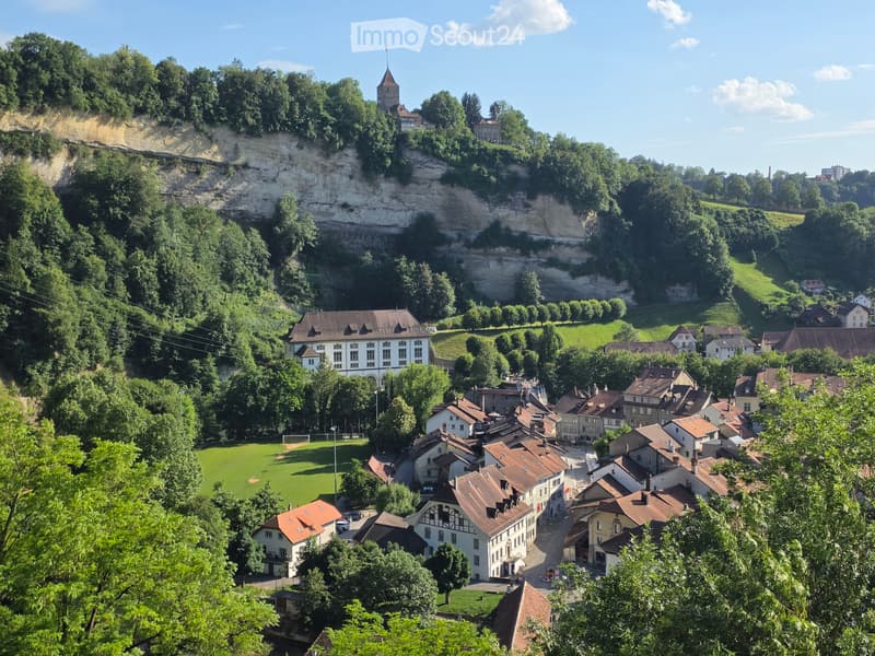 5,5 locali in città a Friburgo, vista eccezionale (1)