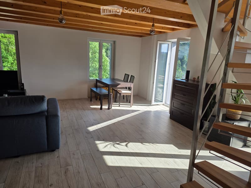 5,5 locali in città a Friburgo, vista eccezionale (2)