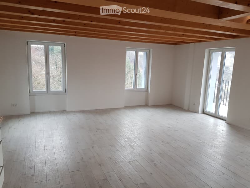 5,5 locali in città a Friburgo, vista eccezionale (3)