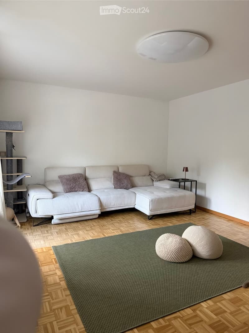 Appartamento 4.5 locali in affitto a Hauterive (NE) (3)