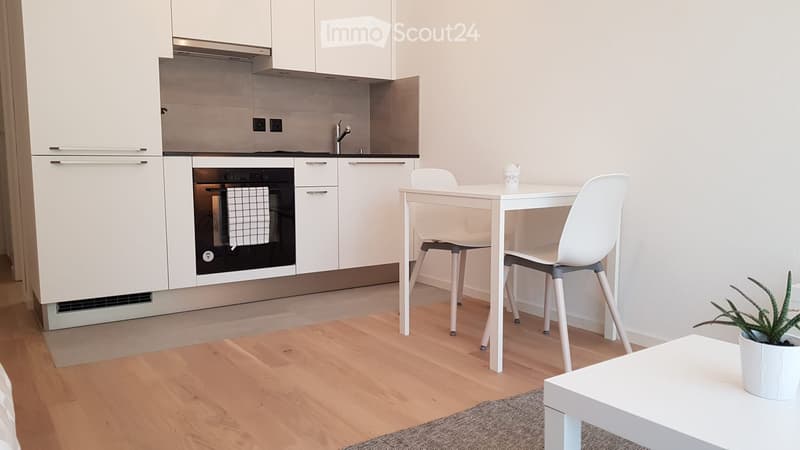 Möbliertes Studio zur Miete 25m² + Parkplatz in der Nähe von Lausanne / EHL (5)