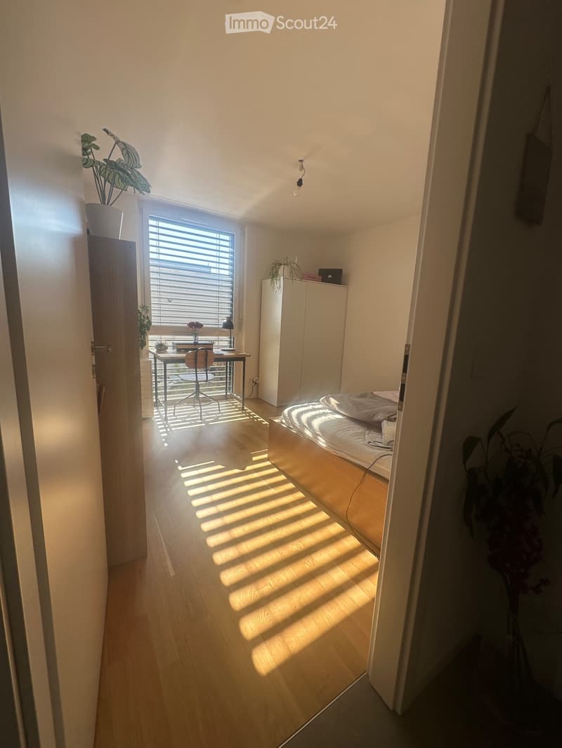 DRINGEND: Wohnung - Achtung, Herzensbrecher! (2)