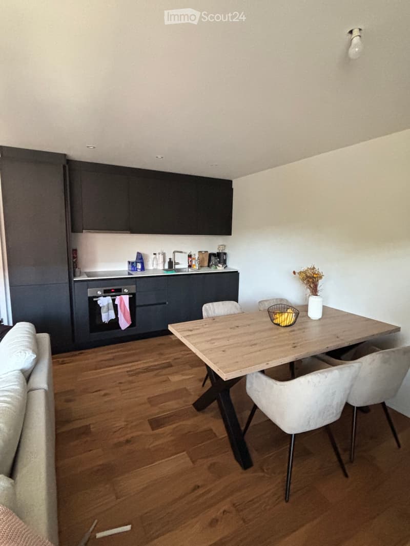Appartamento in affitto (2)