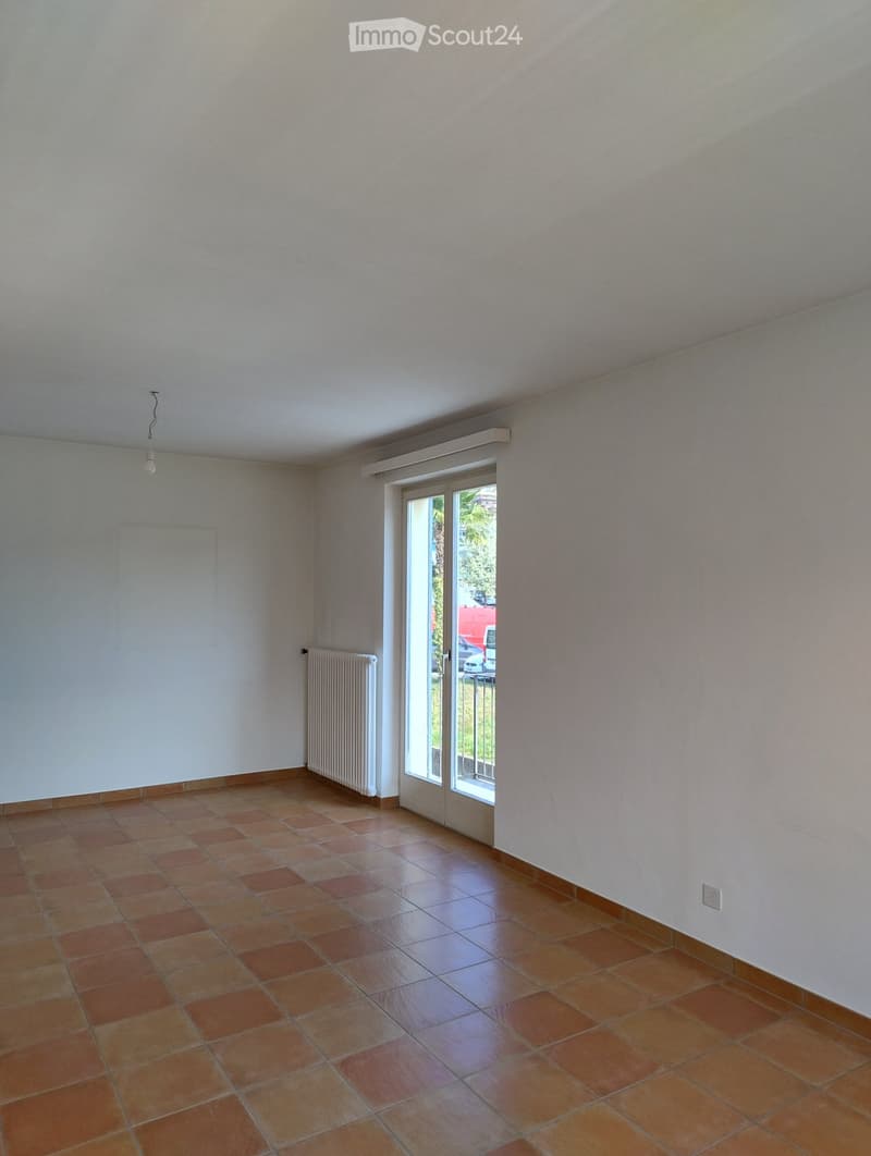 Luminoso appartamento a Minusio (3)