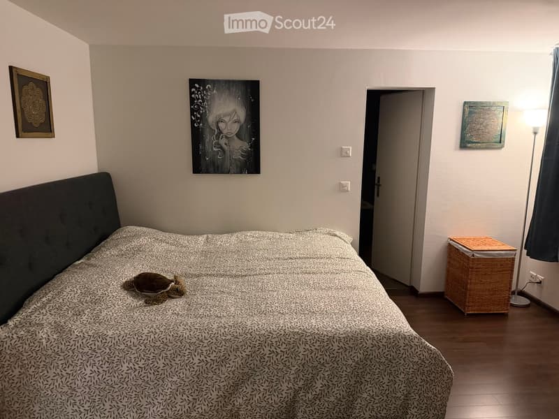 Meraviglioso appartamento a Mont-sur-Lausanne (4)
