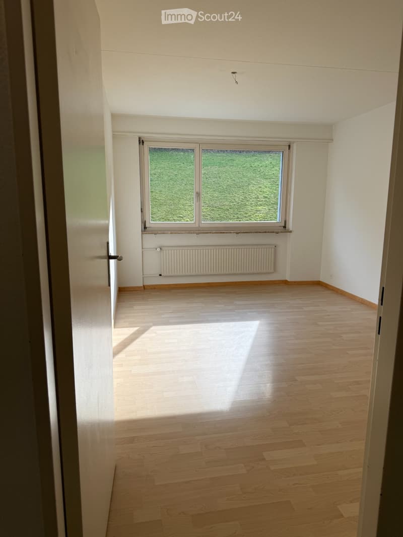 Schöne 2.5-Zimmer-Wohnung in Baden per sofort zu vermieten (5)