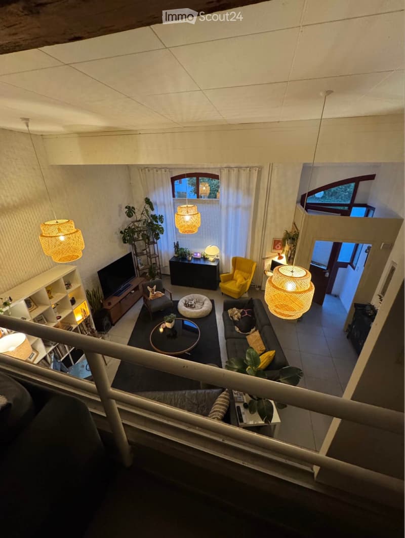 Magnifico loft duplex di 4,5 locali, 150 m² a Moudon (3)